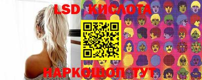 мяу мяу мука Краснознаменск