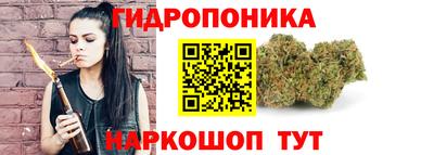 шишки Краснокаменск