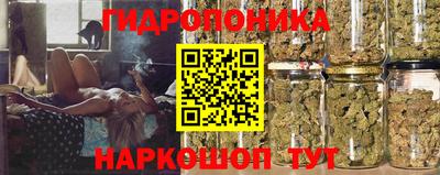 мяу мяу мука Краснознаменск