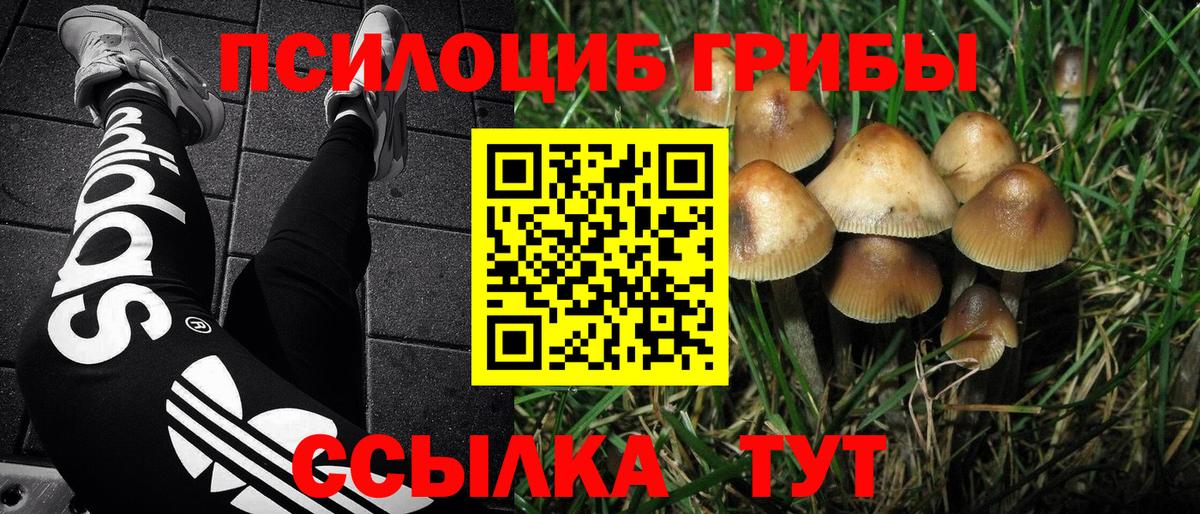 Псилоцибиновые грибы мухоморы  Галлюциногенные грибы прущие грибы  Красноармейск  Вход с VPN 